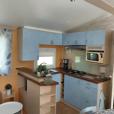 Bleu D'argonne * Le Chesne (Ardennes)